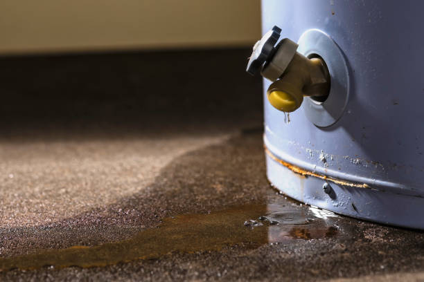 Best Sewage cleanup and water damage restoration  in East St Louis, IL