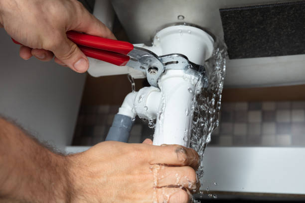 Best Fire Damage Restoration  in East St Louis, IL