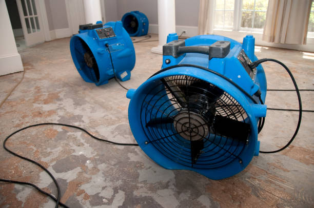 Best Water damage mitigation services  in East St Louis, IL