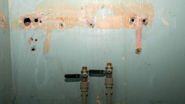 Best 24/7 water damage repair  in East St Louis, IL