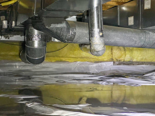 Best Residential water damage restoration  in East St Louis, IL