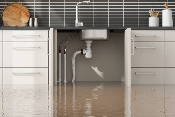 Best Water damage restoration near me  in East St Louis, IL