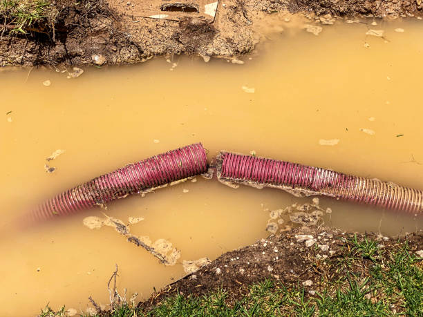 Best 24-hour water damage restoration  in East St Louis, IL