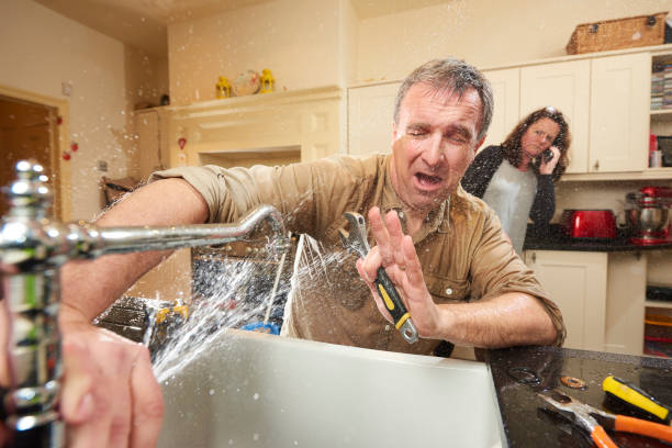 Best Flood restoration services  in East St Louis, IL